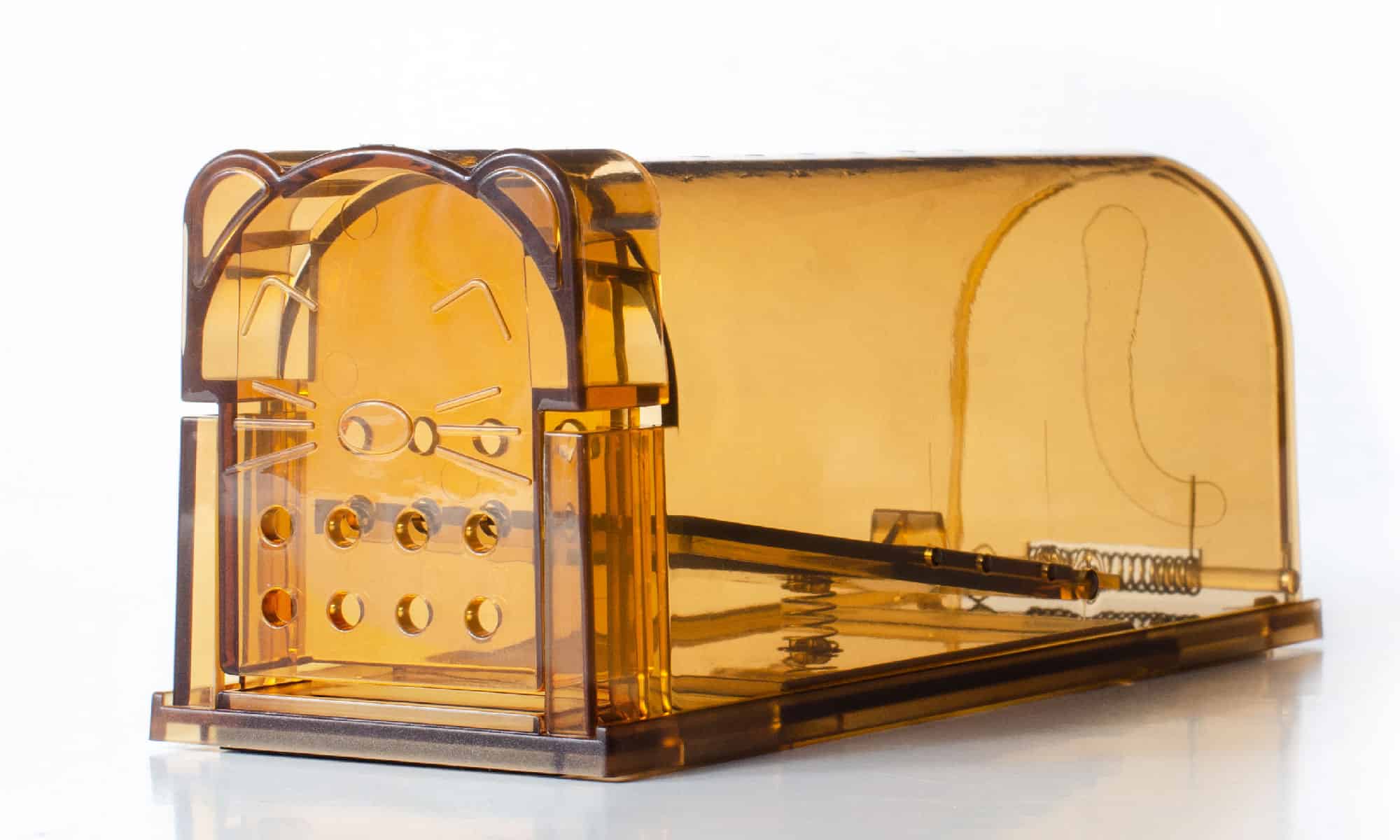 Humane mouse trap