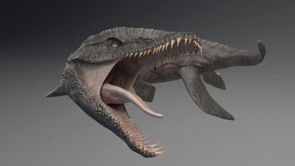 Predator X - a pliosaur - was a massive apex predator