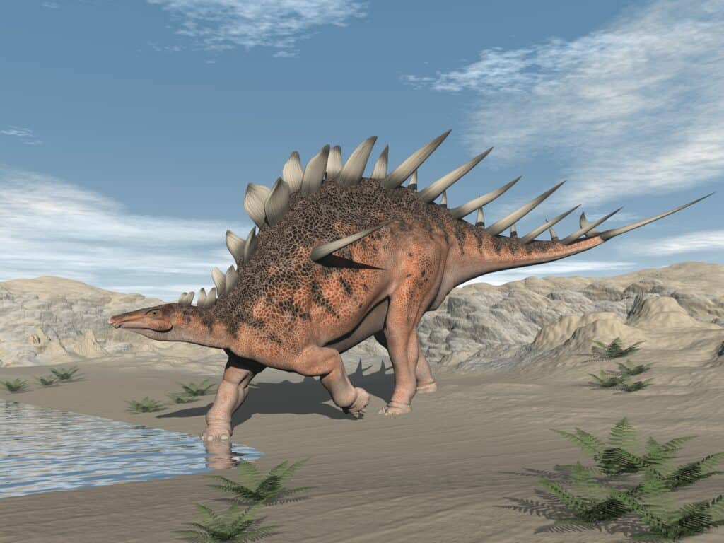 Kentrosaurus có những chiếc gai ấn tượng trên cơ thể để bảo vệ bản thân khỏi những kẻ săn mồi
