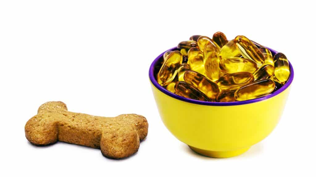 fish oil in bowl next to dog treat