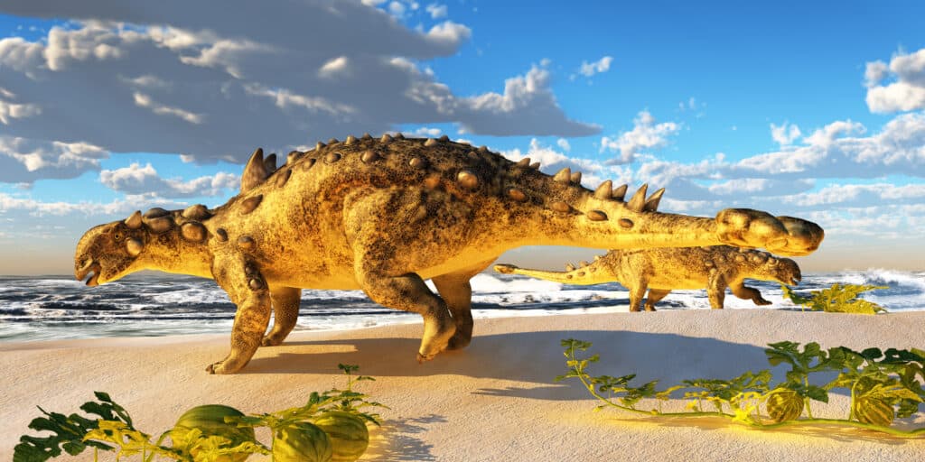 Euoplocephalus was another thyreophoran dinosaur with armor on its body