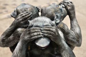 See No Evil, Hear No Evil, Speak No Evil Monkeys: Meaning and Origins Picture