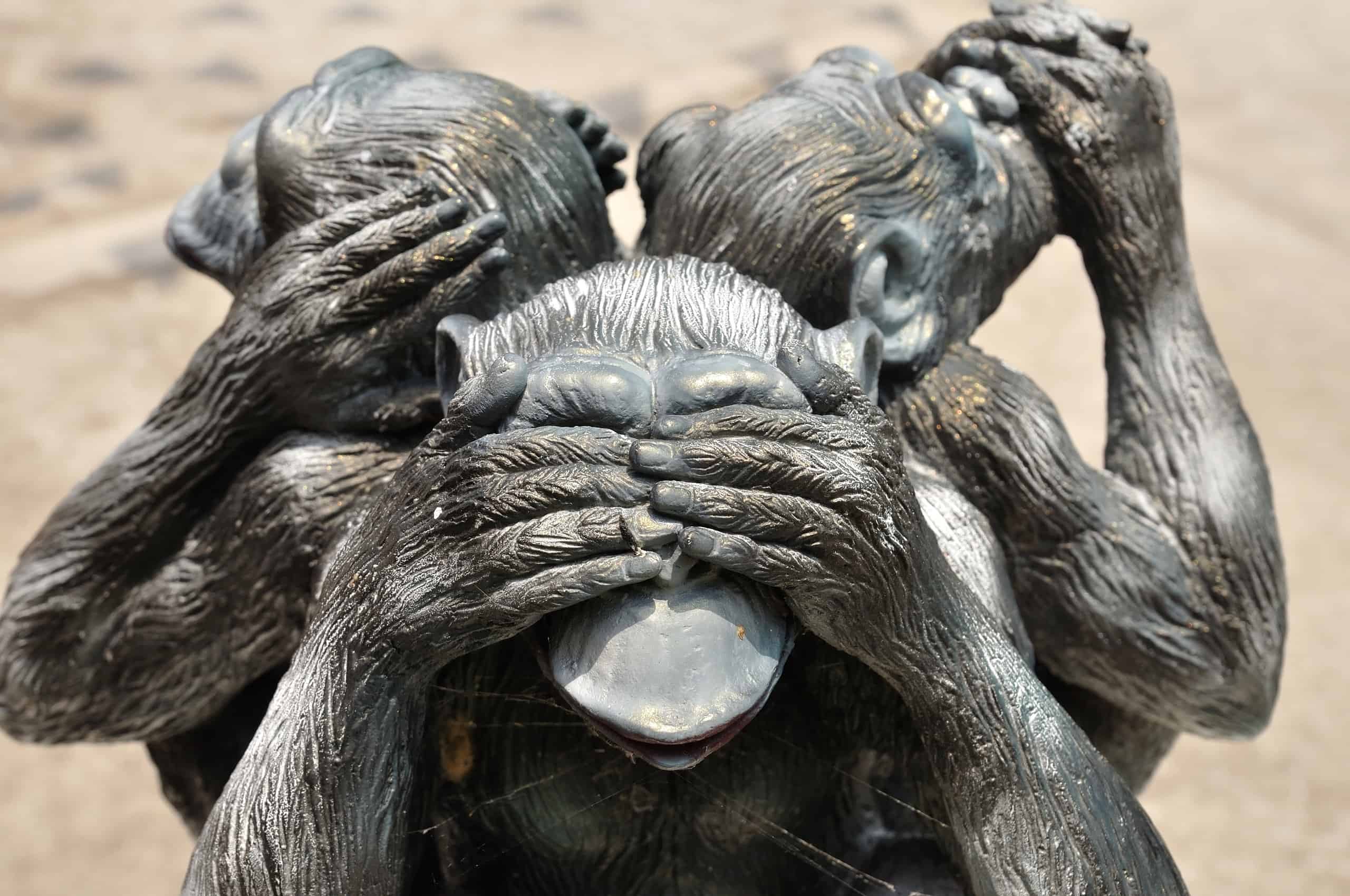 Wolk Zin bovenste See No Evil, Hear No Evil, Speak No Evil Monkeys: Meaning and Origins - AZ  Animals