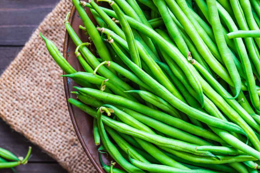 can dogs eat string beans