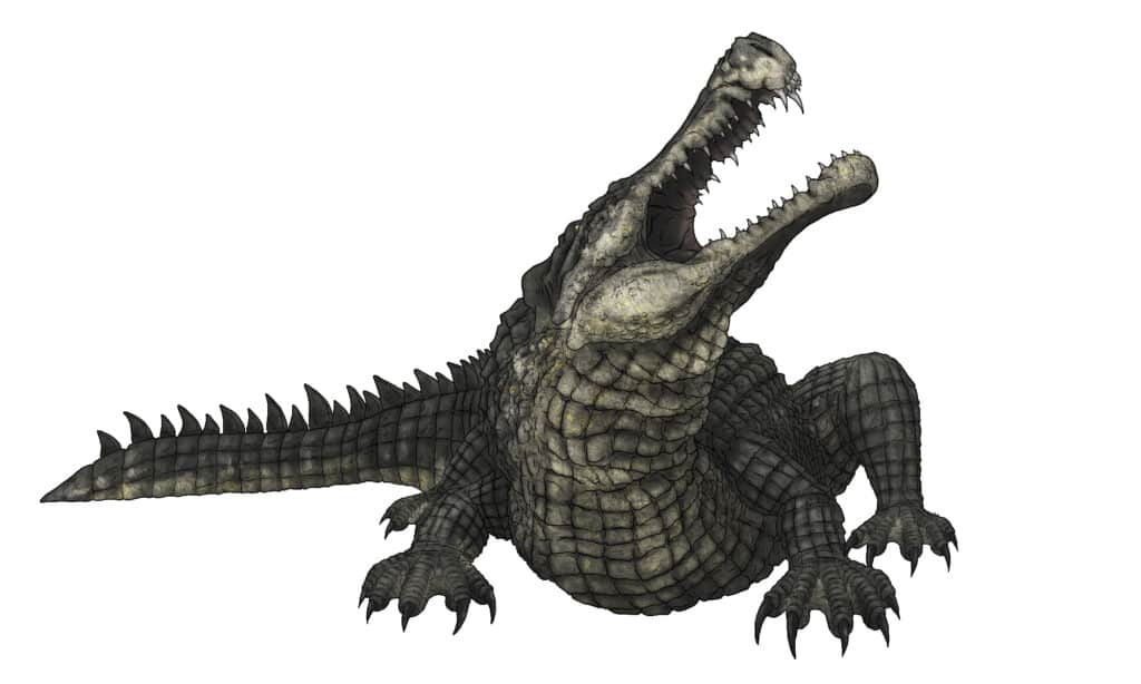 Sarcosuchus