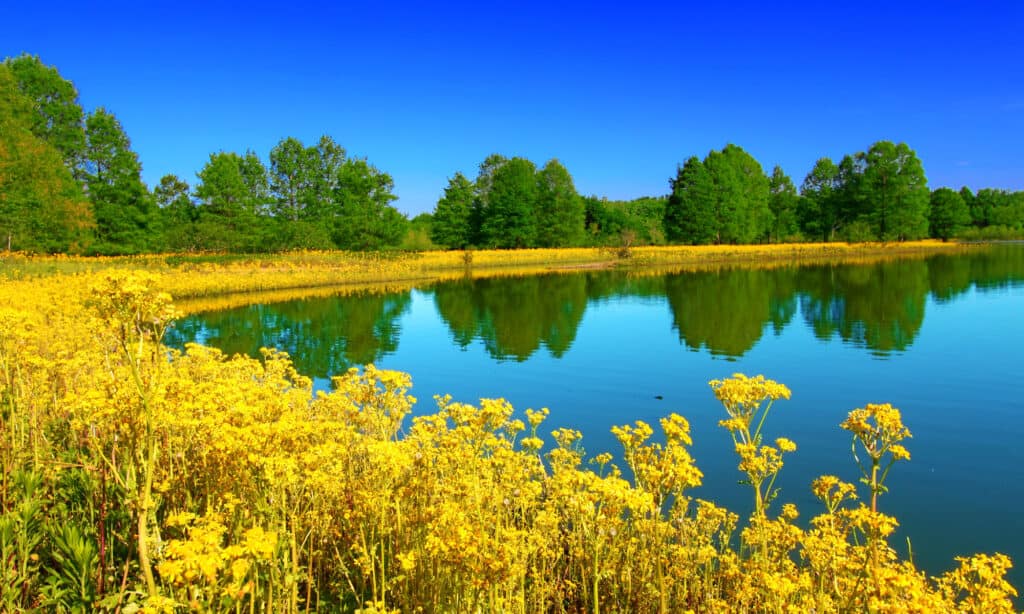 Eldon Hazlet State Park Illinois