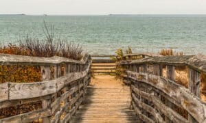 Take A Trip To First Landing State Park – The Most Visited Park In Virginia Picture