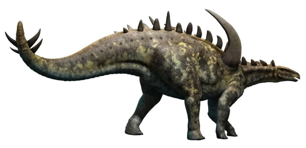Gigantspinosaurus had large bony spines on it's shoulders as well as other bony armor plates