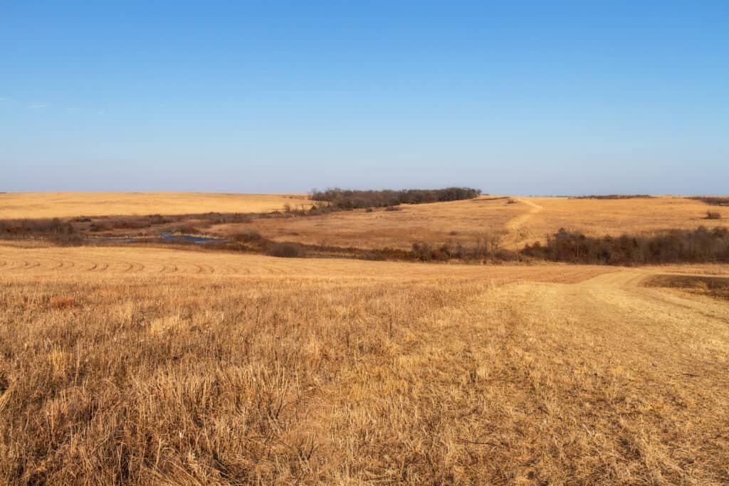 Open grassland in Missouri