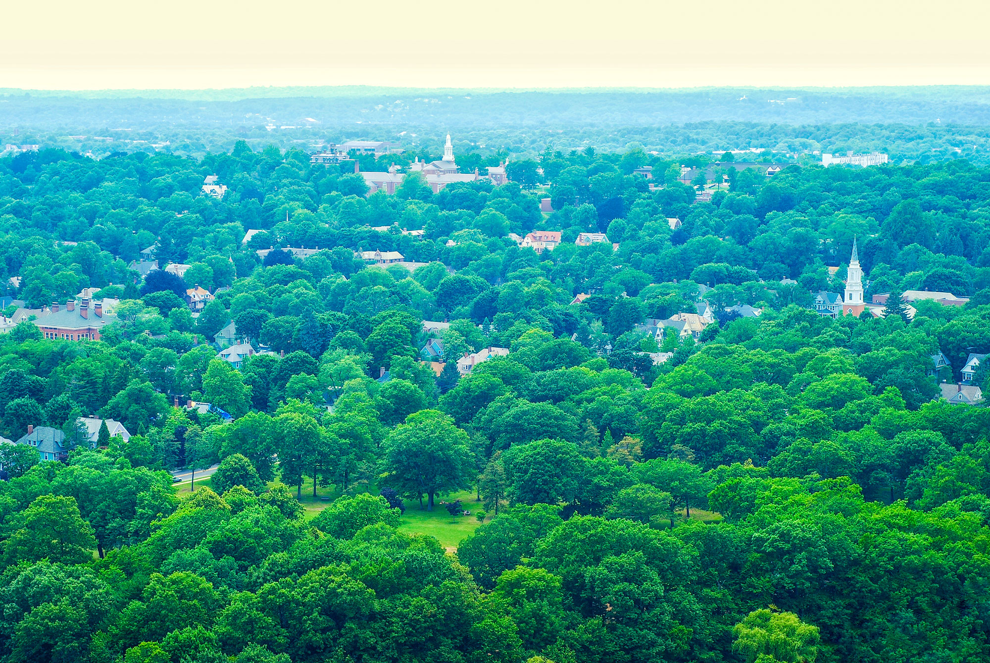 connecticut-s-7-best-birdwatching-spots-this-summer