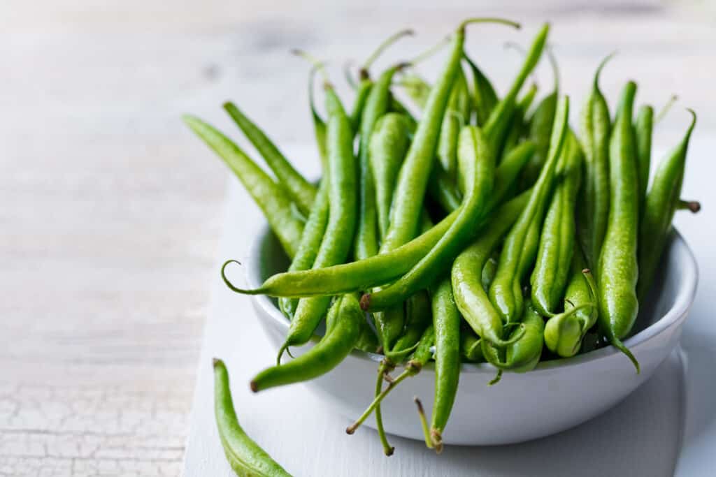 Picture of nickel beans, a variety of bush beans.