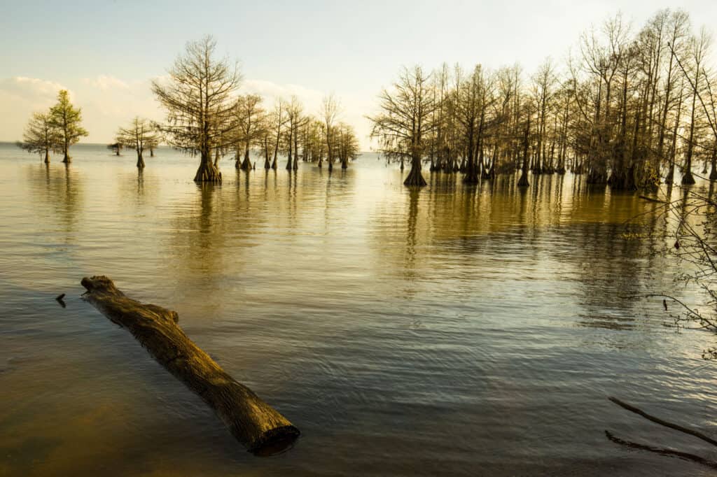 Santee National Wildlife Refuge