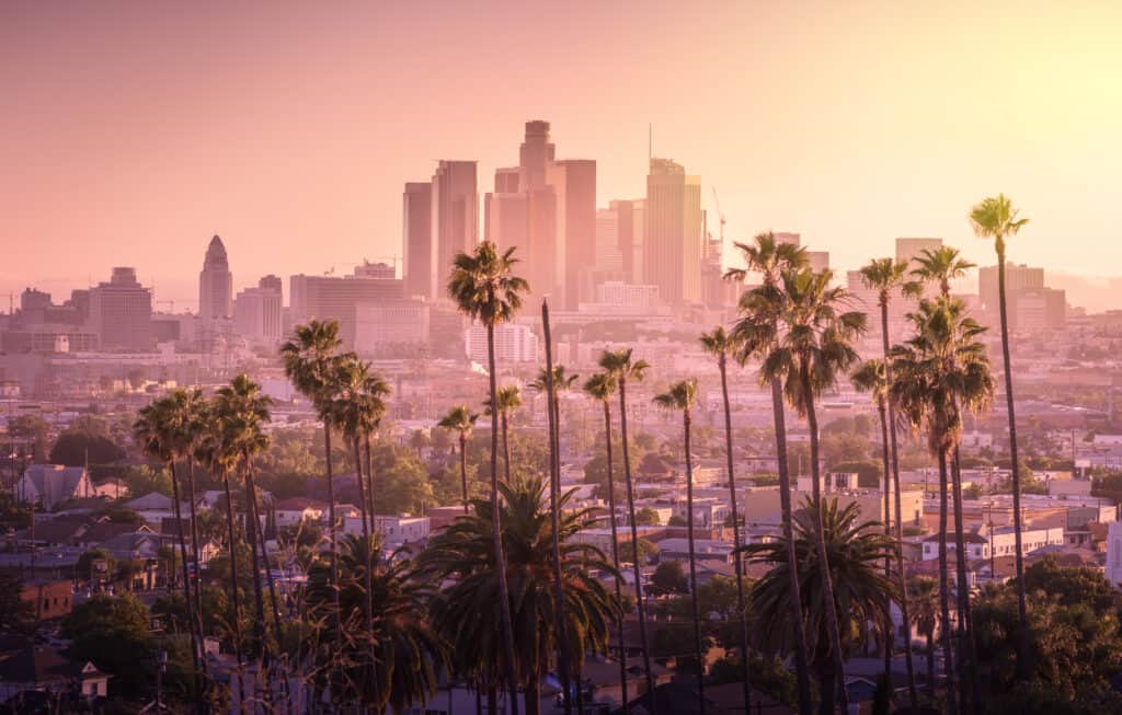 Beau coucher de soleil sur les toits du centre-ville de Los Angeles et les palmiers au premier plan