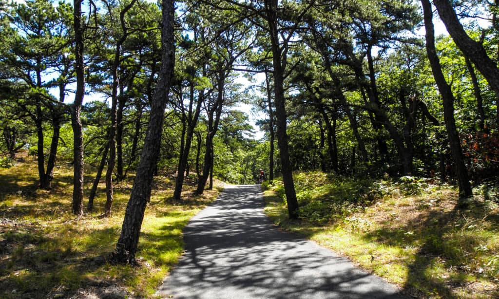 Cape Cod Rail Trail