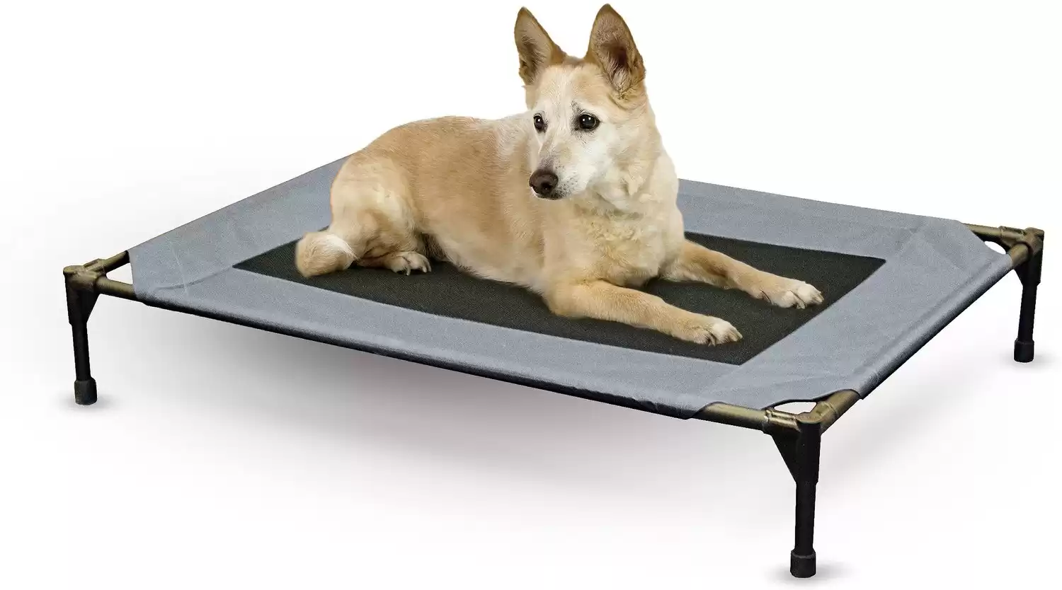 Superjare hotsell dog bed