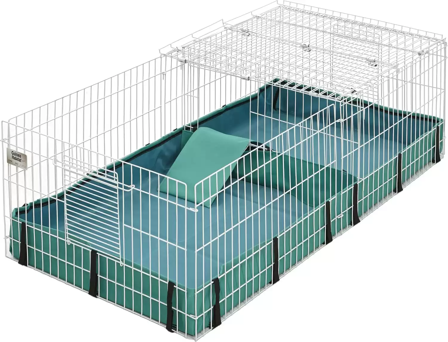 Guinea Pig Cages: How to Pick the Right Size - AZ Animals