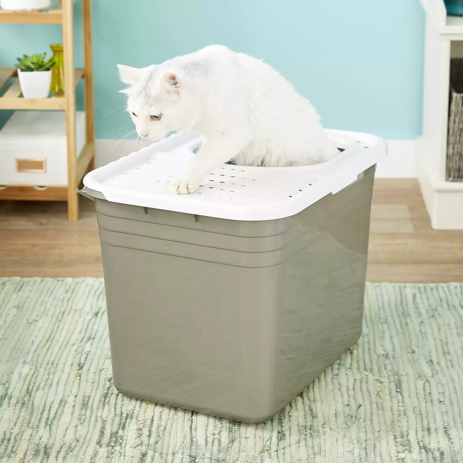 Best cat litter box outlet to keep dogs out