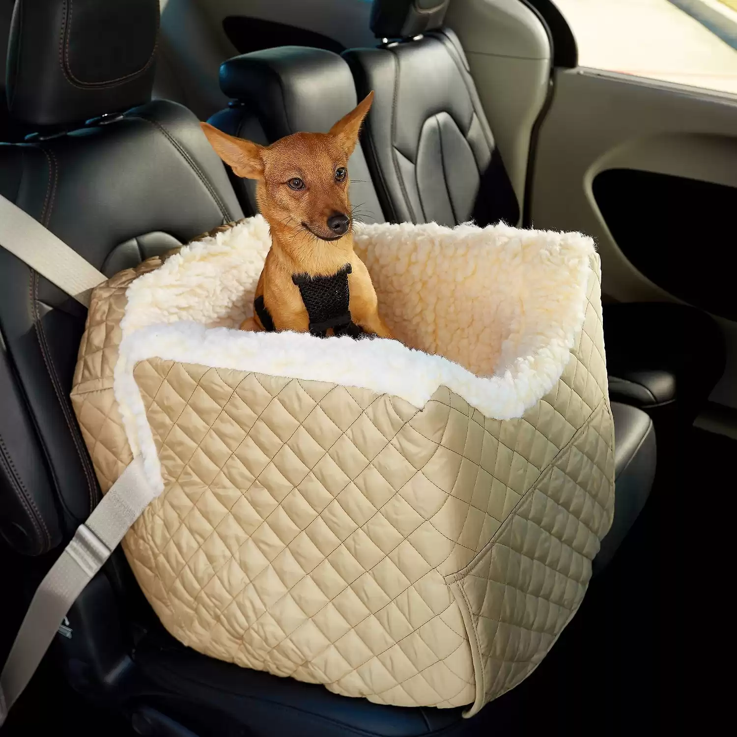 Snoozer Pet Products Lookout II Car Seat