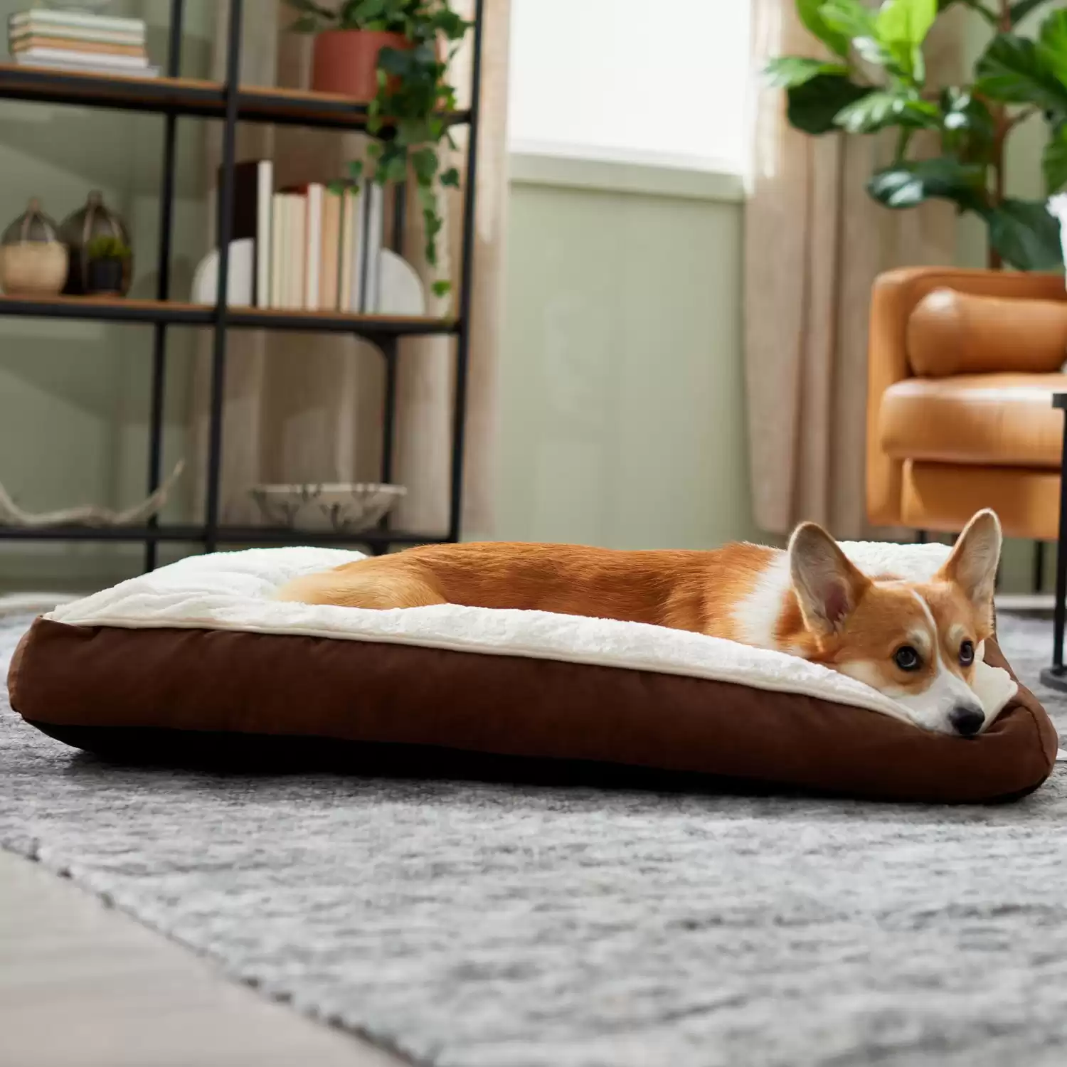 Frisco Pillow Cat & Dog Bed