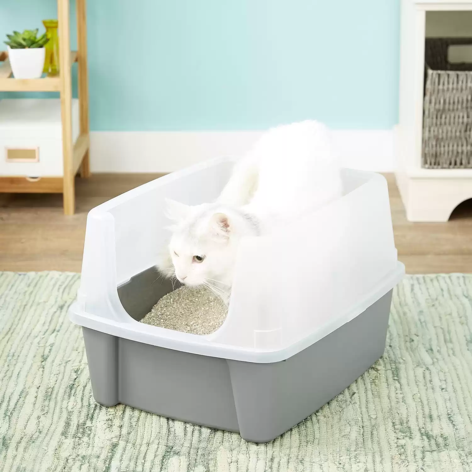 IRIS Open Top Litter Box with Shield & Scoop