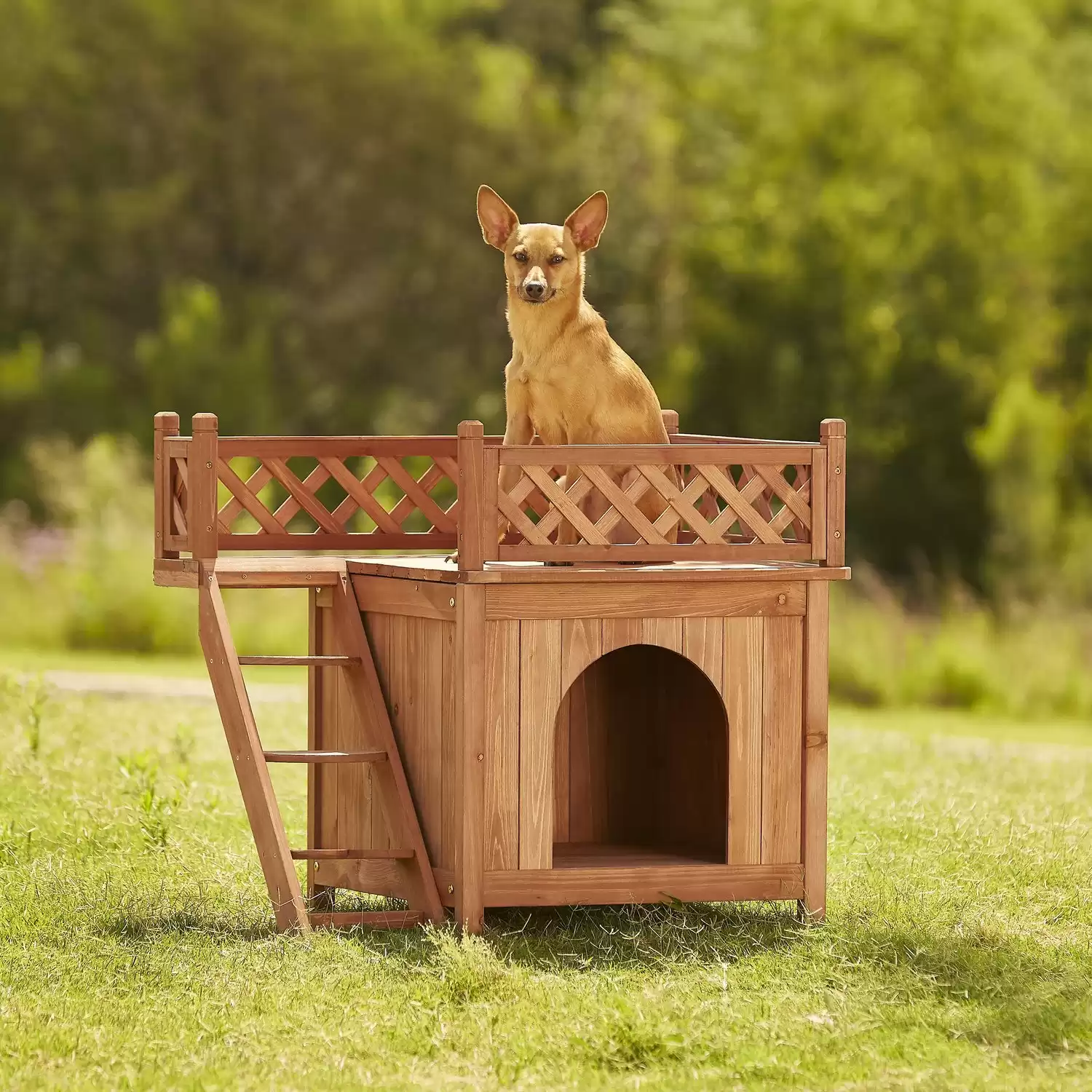 Merry Products Room with a View Wood Dog & Cat House