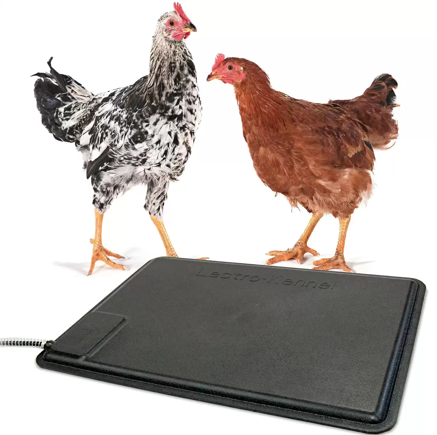 K&H Pet Products Thermo-Chicken Heated Pad