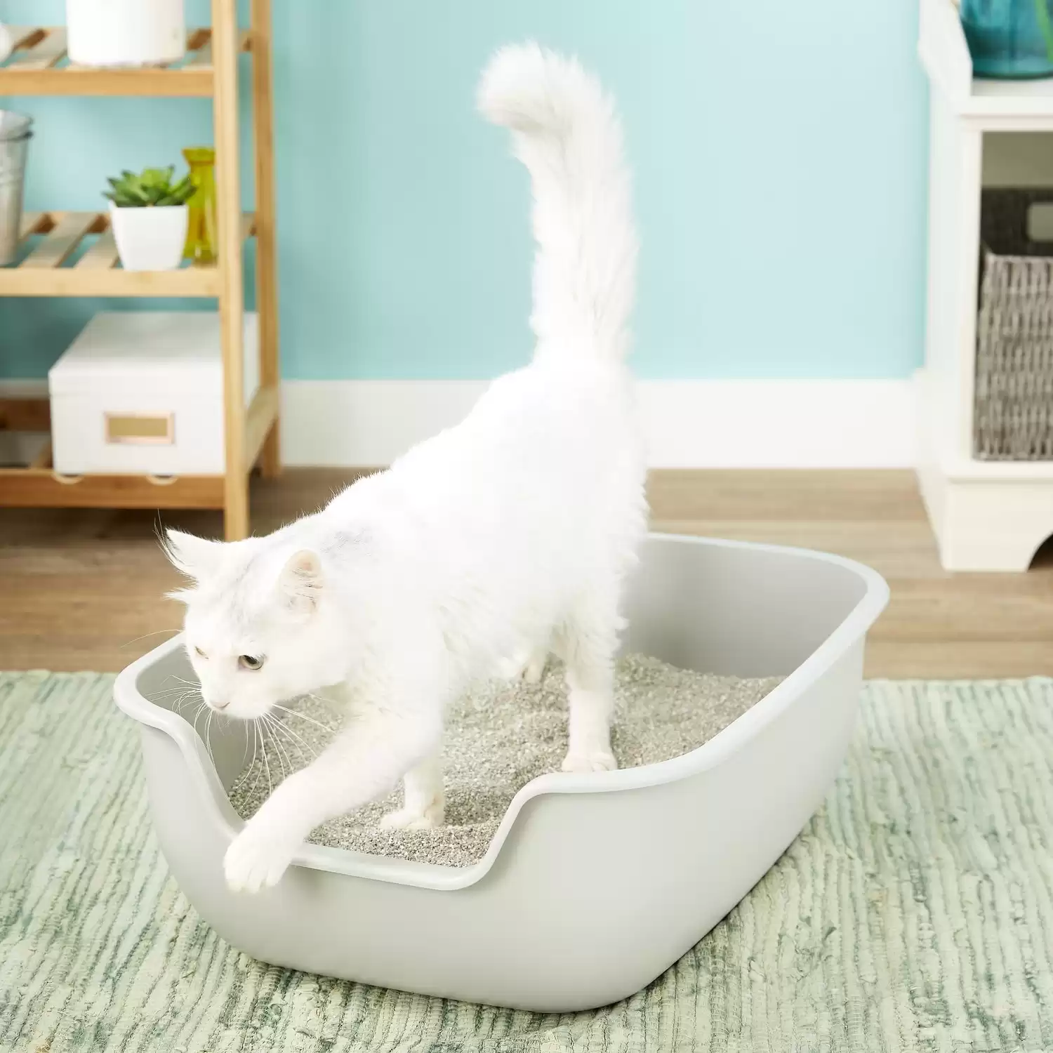 PetFusion BetterBox Non-Stick Litter Box