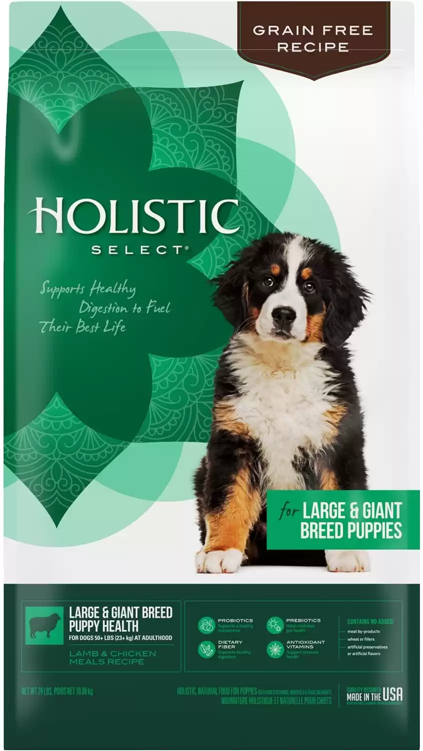 Holistic Select Large & Giant Breed Puppy Dry Dog Food