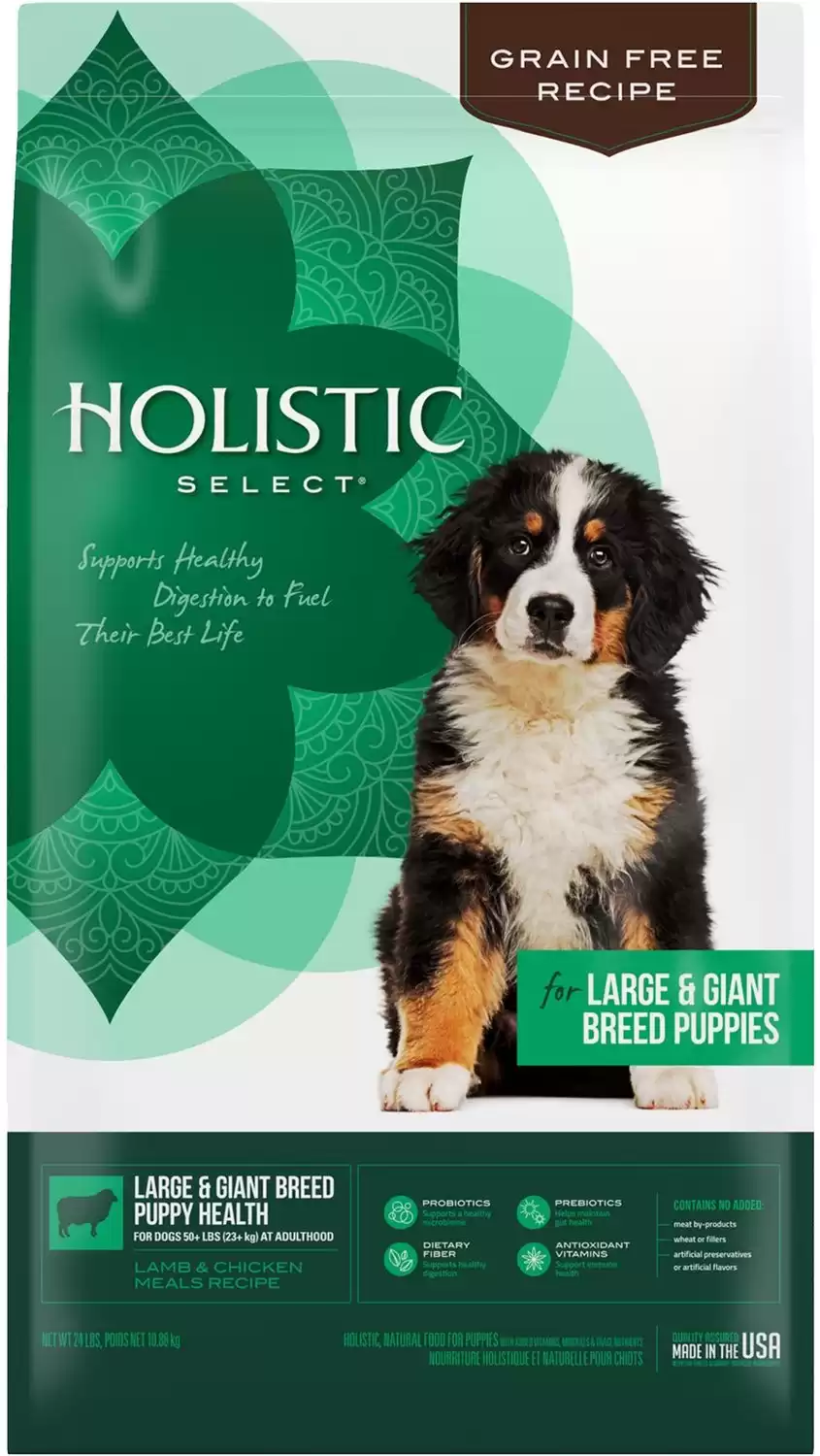 Holistic select outlet senior