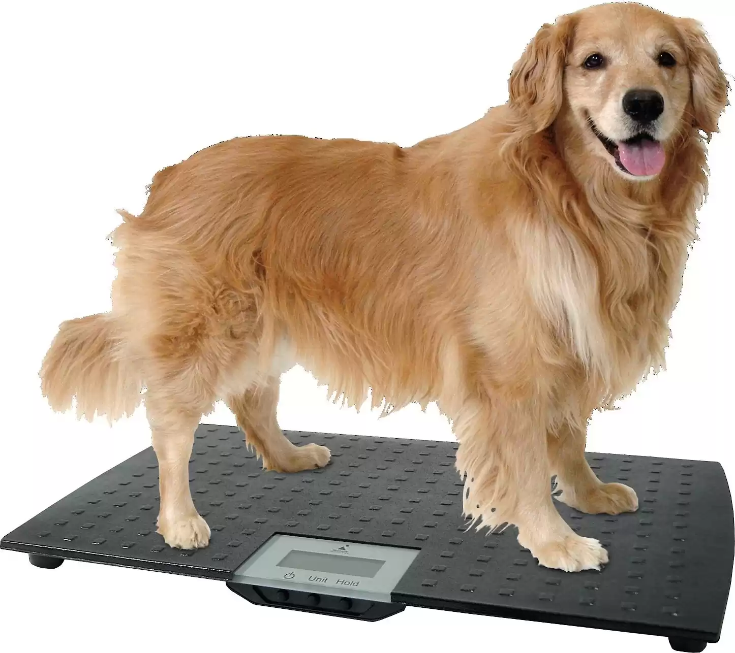 W.C. Redmon Precision Digital Pet Scales