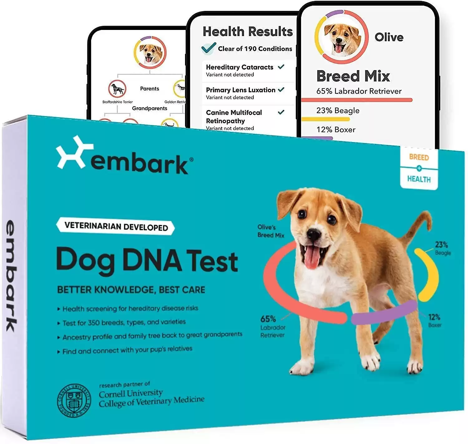 Embark Breed & Health Condition Identification DNA Test for Dogs