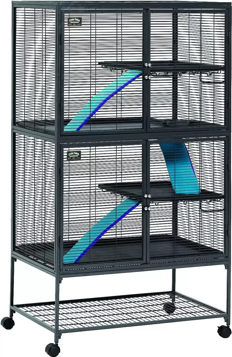 Good rat cages for 2 outlet rats