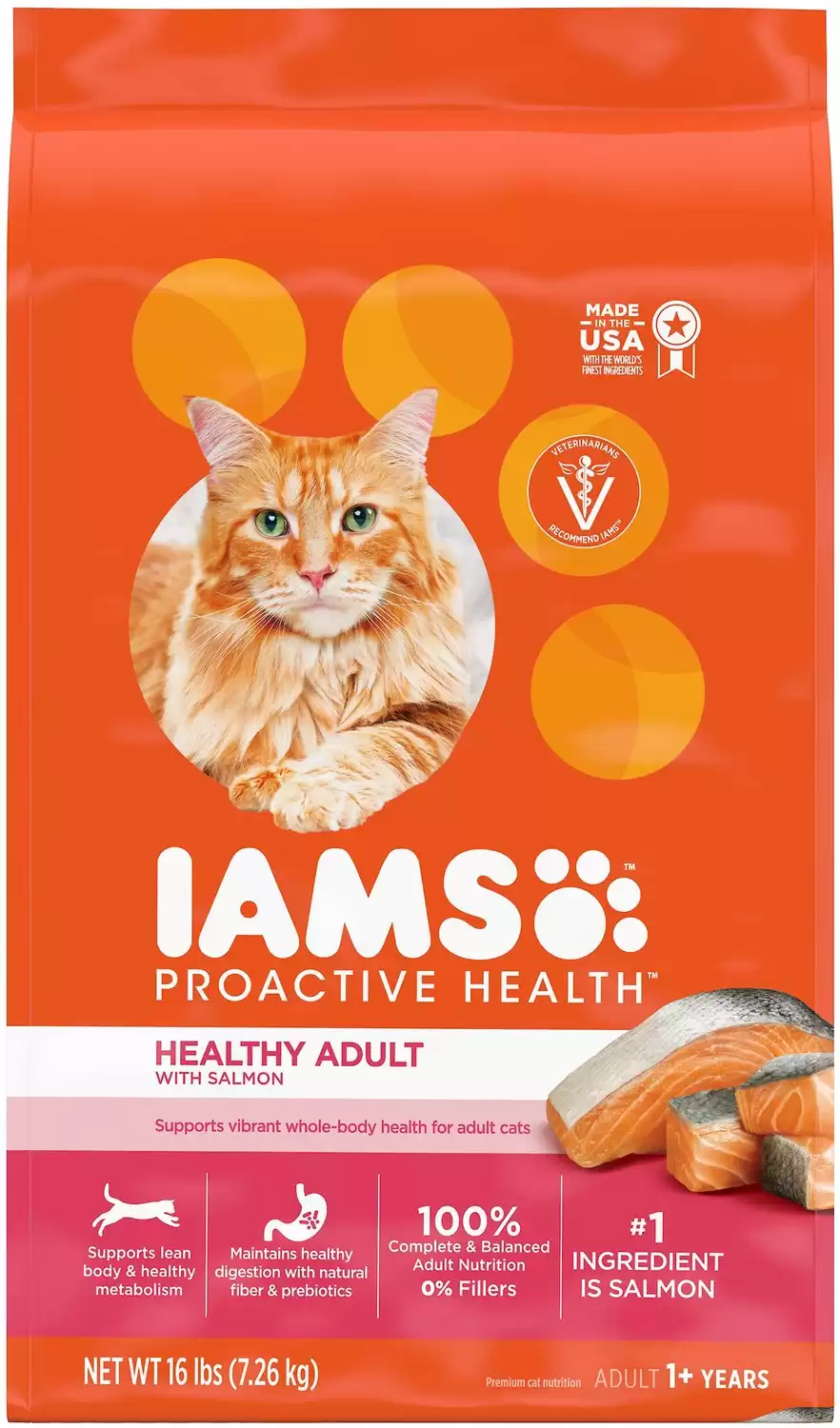 IAMS ProActive Health Salmon Recipe Dry Cat Food