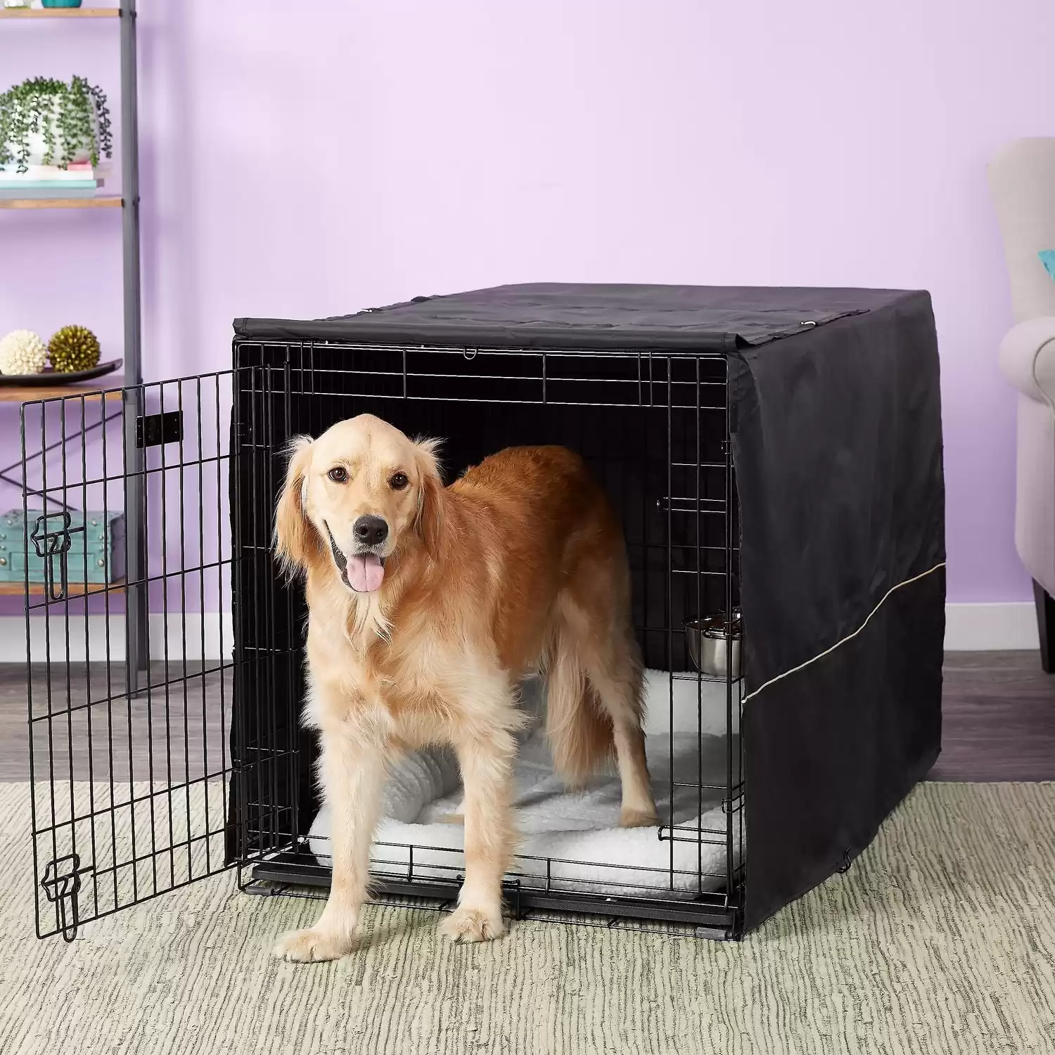 dog poops in crate and eats it