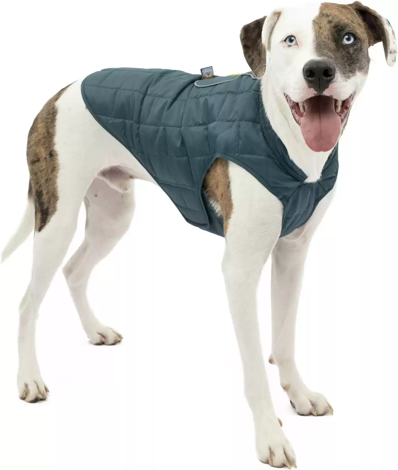 Kurgo Loft Reversible Dog Coat