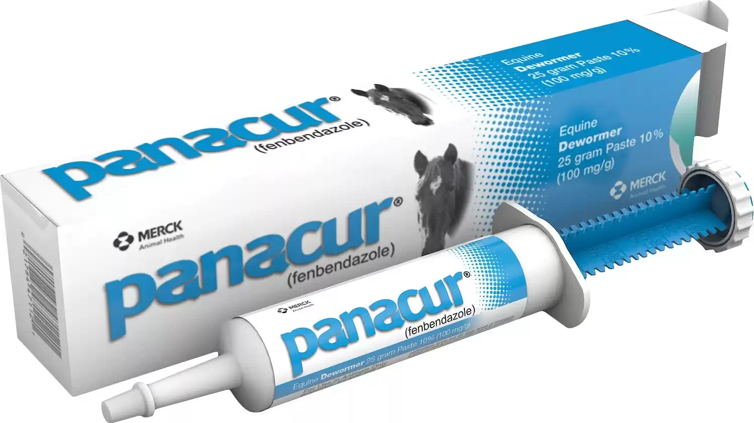 Panacur Equine Paste 10% Horse Dewormer