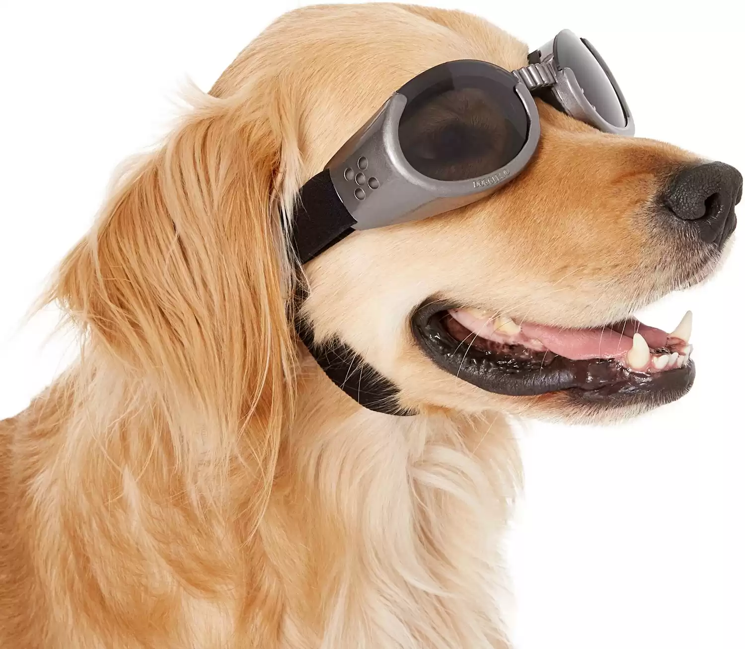 Doggles ILS Dog Goggles
