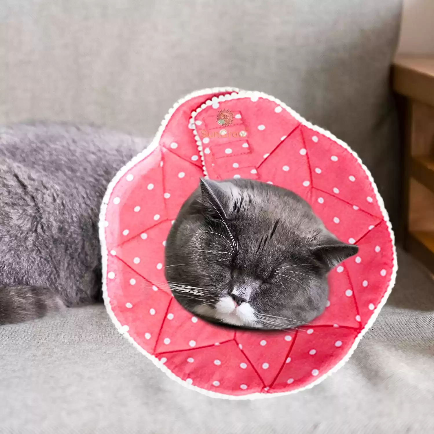 SunGrow Post-Surgery Soft Cone Cat Recovery Collar