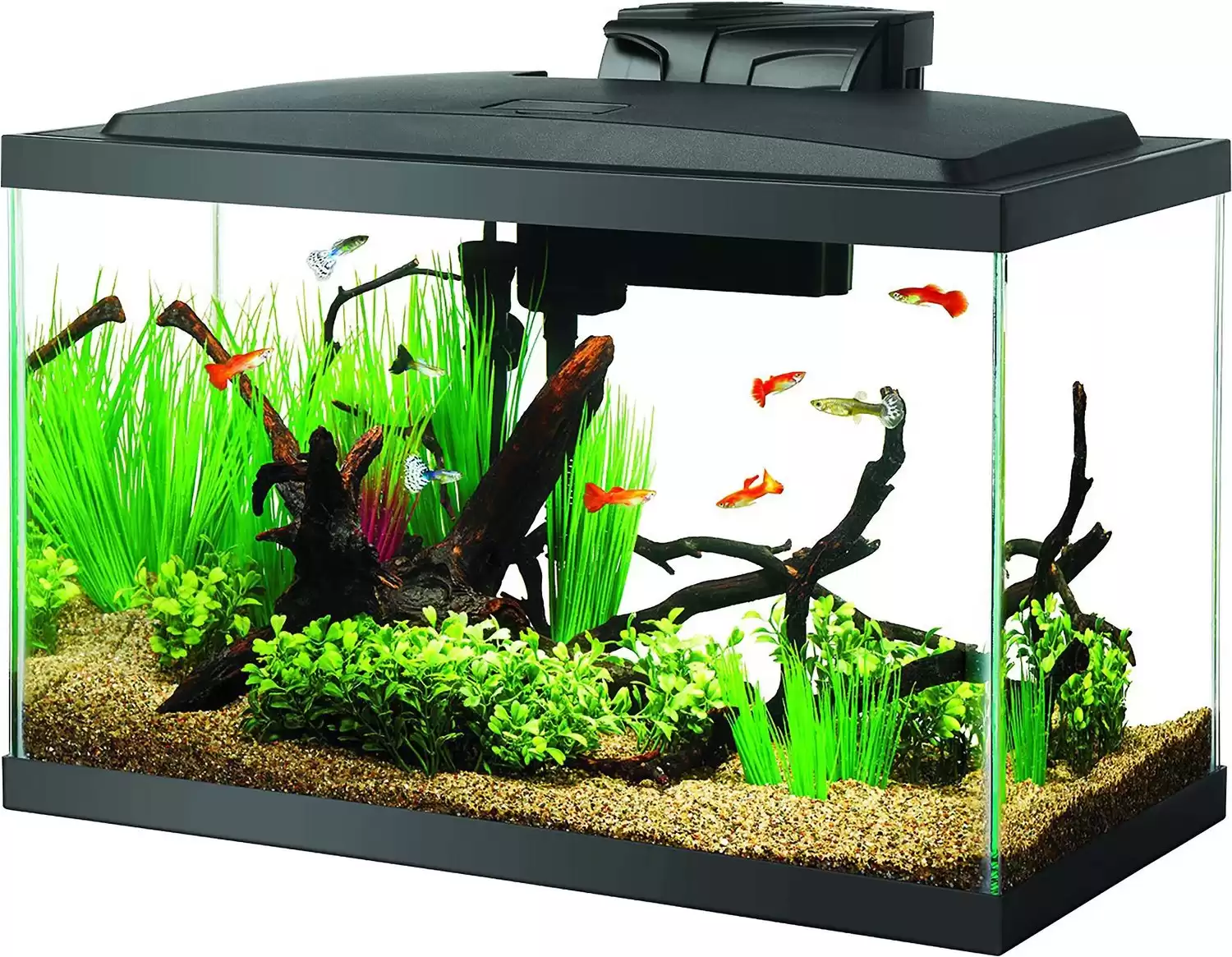 Aqueon LED Fish Aquarium Starter Kit