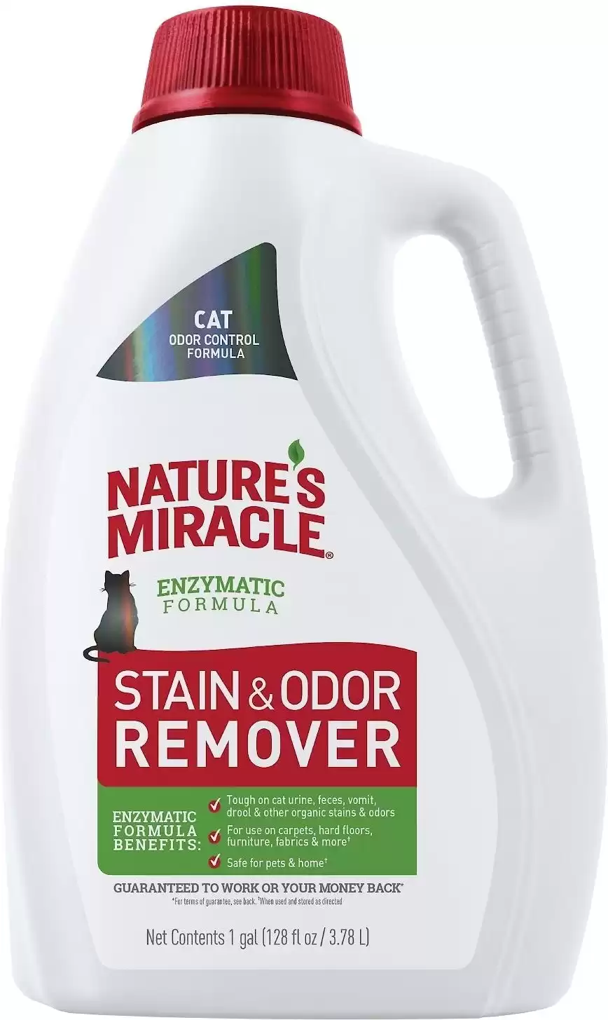 Best cat clearance pee odor remover