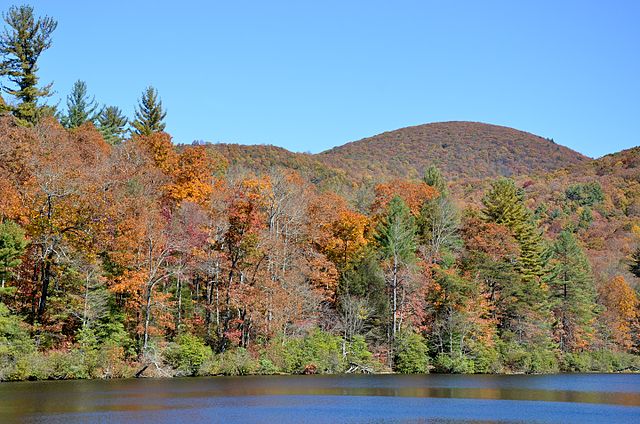 Fall Color in the Chattahoochee National Forest
