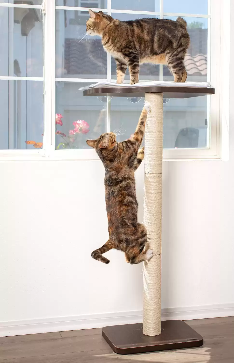 PetFusion Ultimate Window Cat Perch