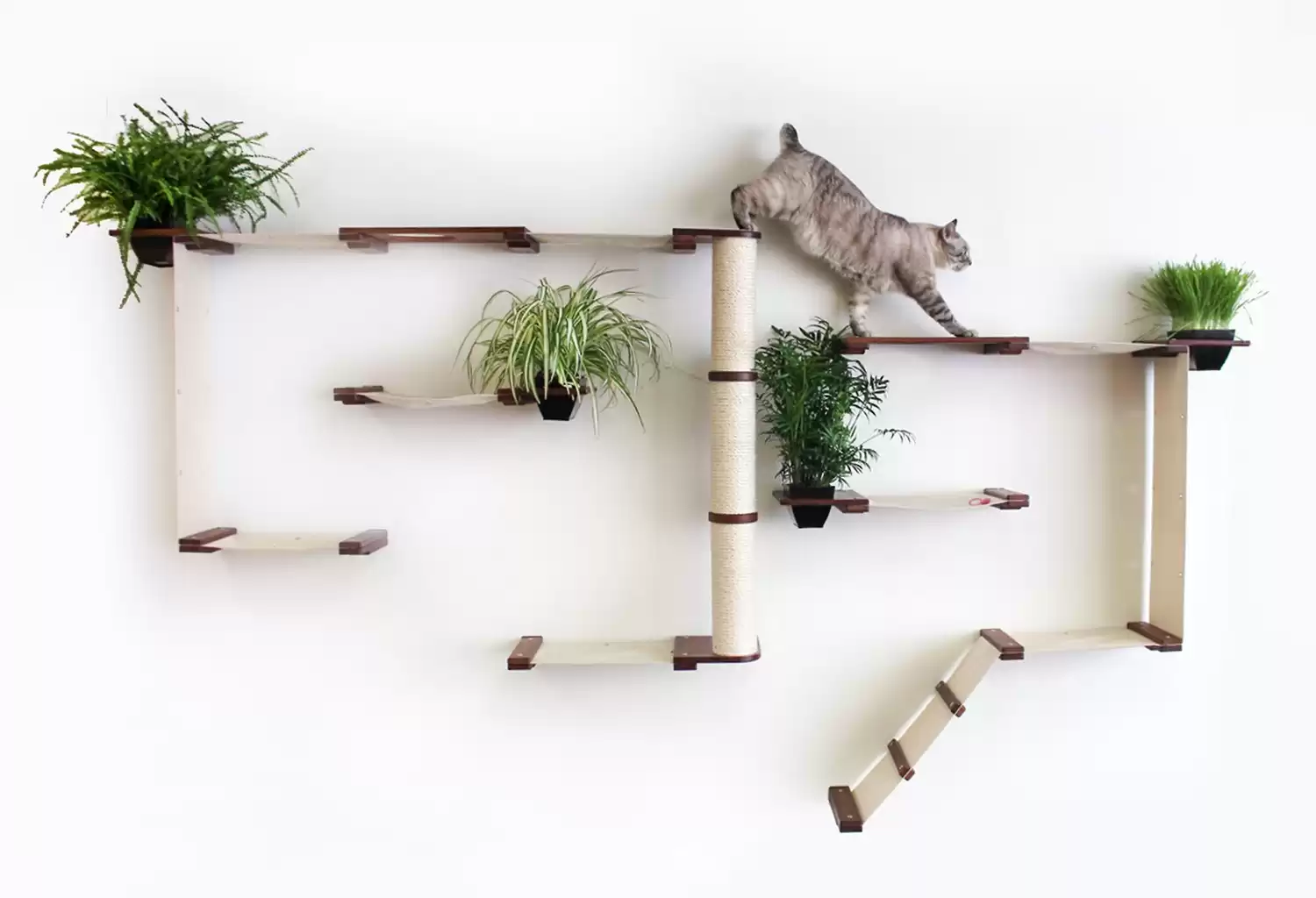 CatastrophiCreations Garden Complex Wall Mounted Cat Tree Shelf Set