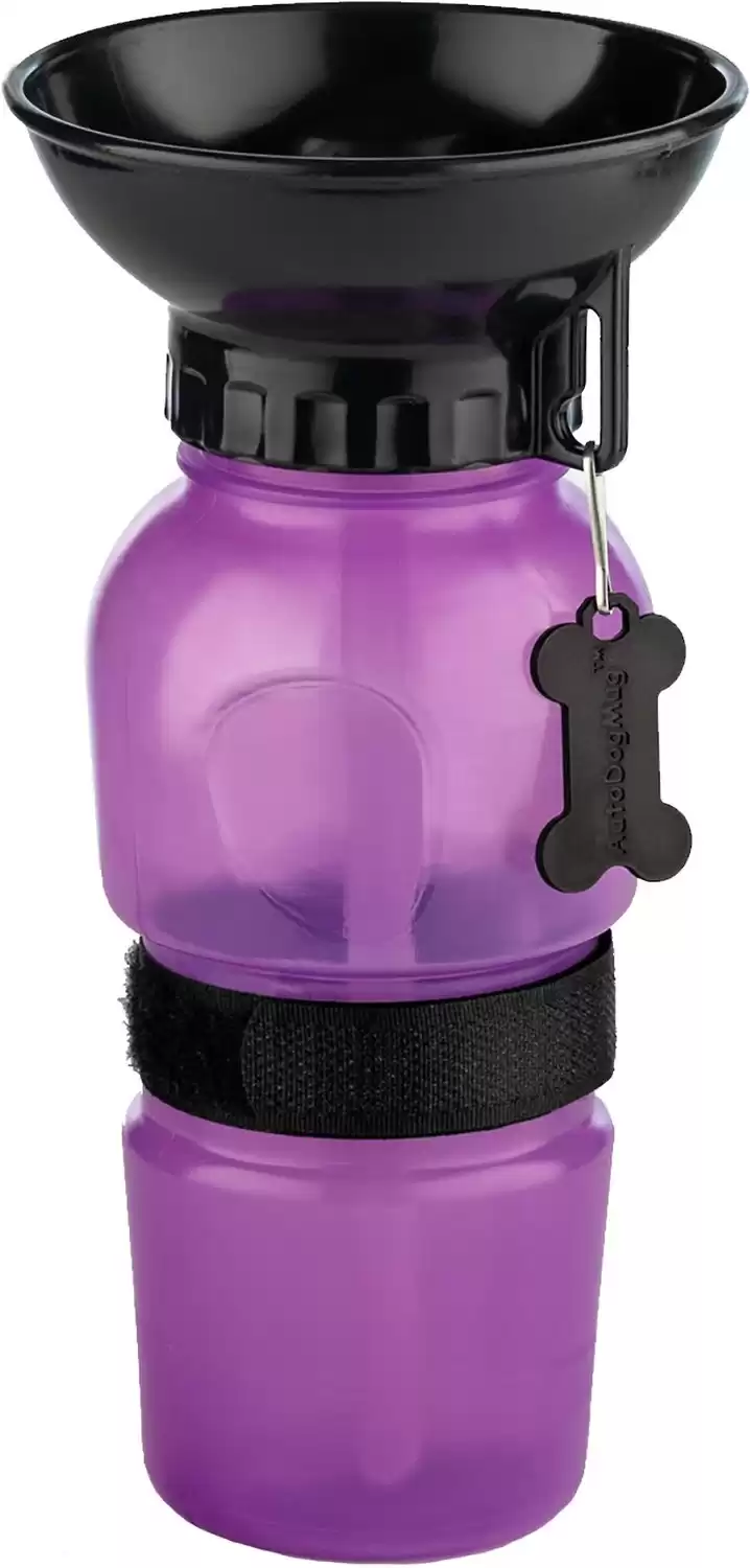 Best Water Bottles For Dogs: The Bübi Bottle