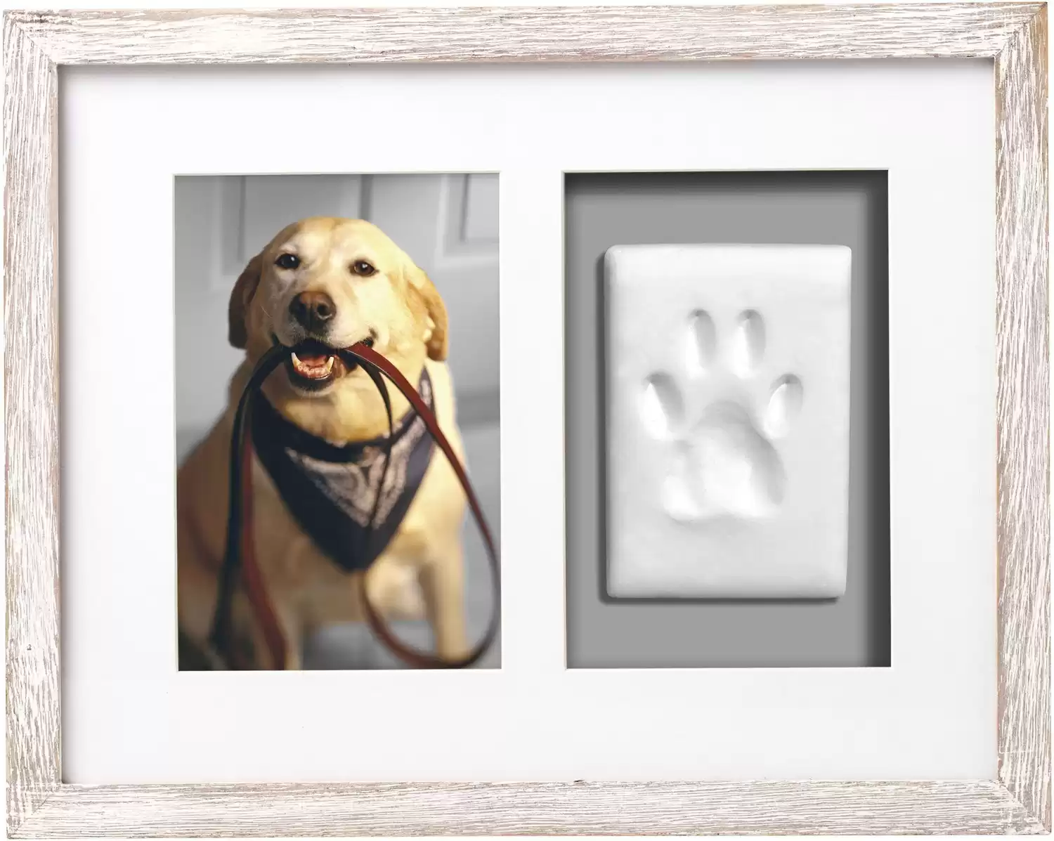 Pearhead Pet Pawprints Wall Picture Frame and Clay Impression Kit