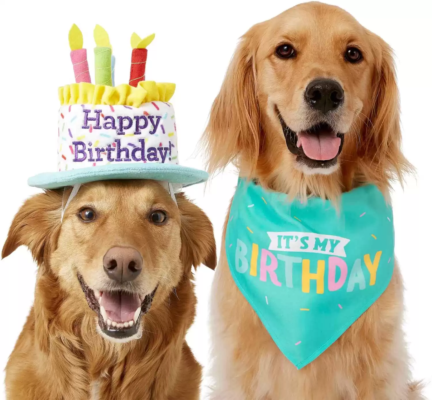 Bundle: Frisco Birthday Cake Hat + Birthday Dog & Cat Bandana