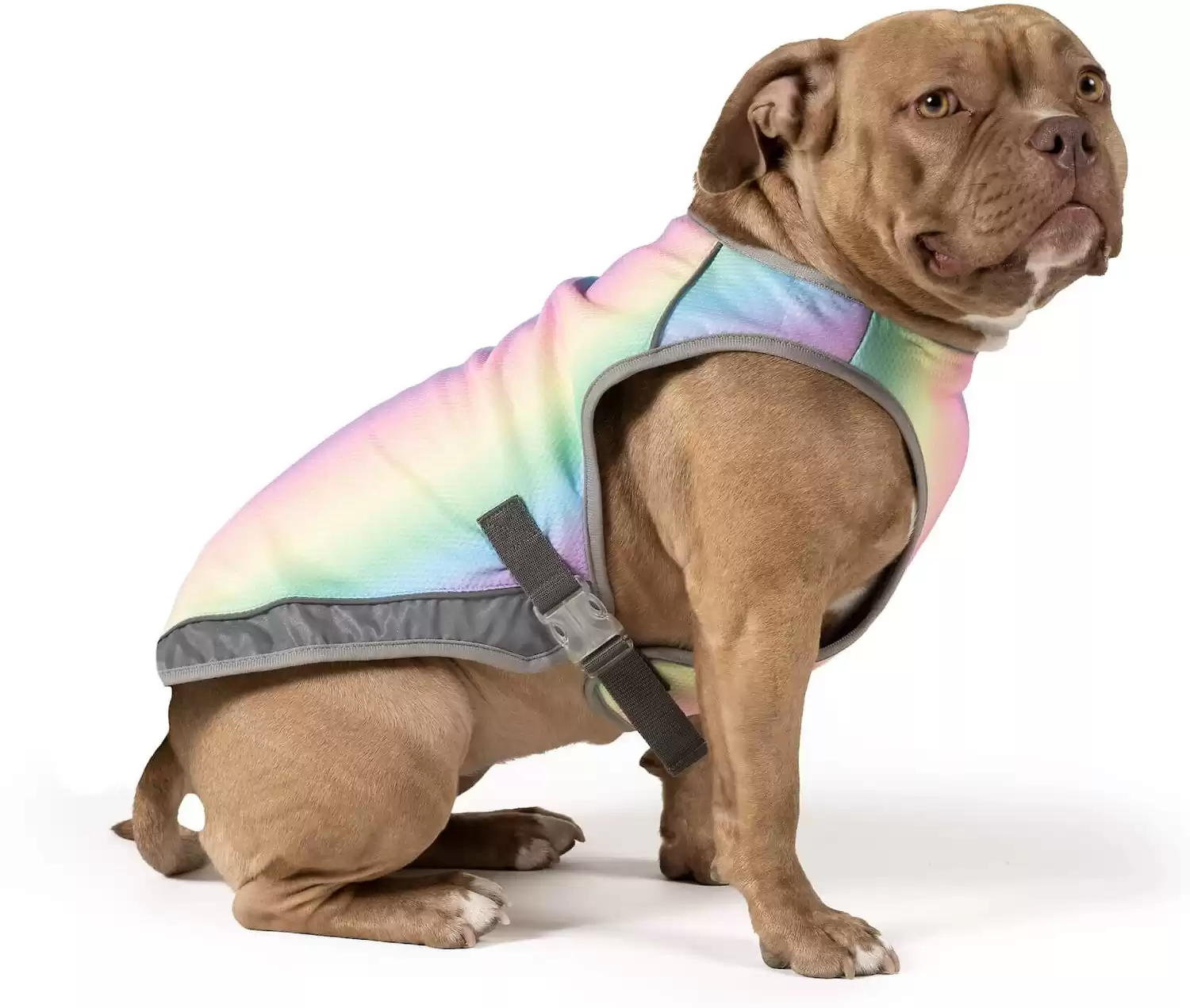 Canada Pooch Cooling Dog Vest
