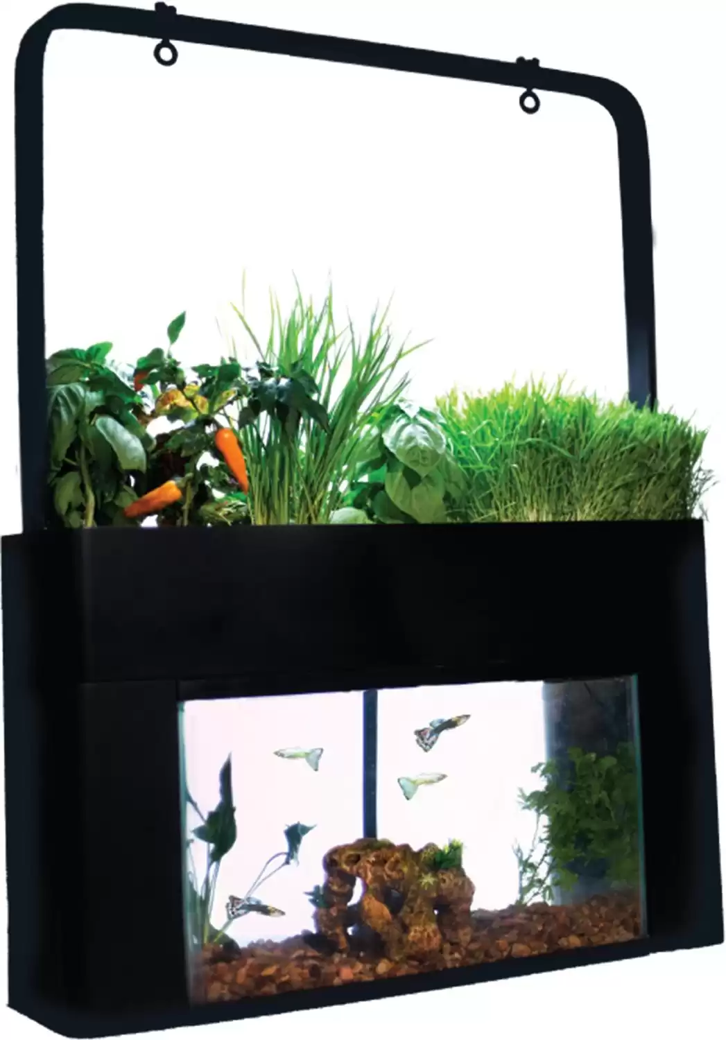 AquaSprouts Garden Self-Sustaining Desktop Aquarium Aquaponics Ecosystem