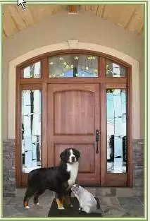 Pet Doorbell Mat System