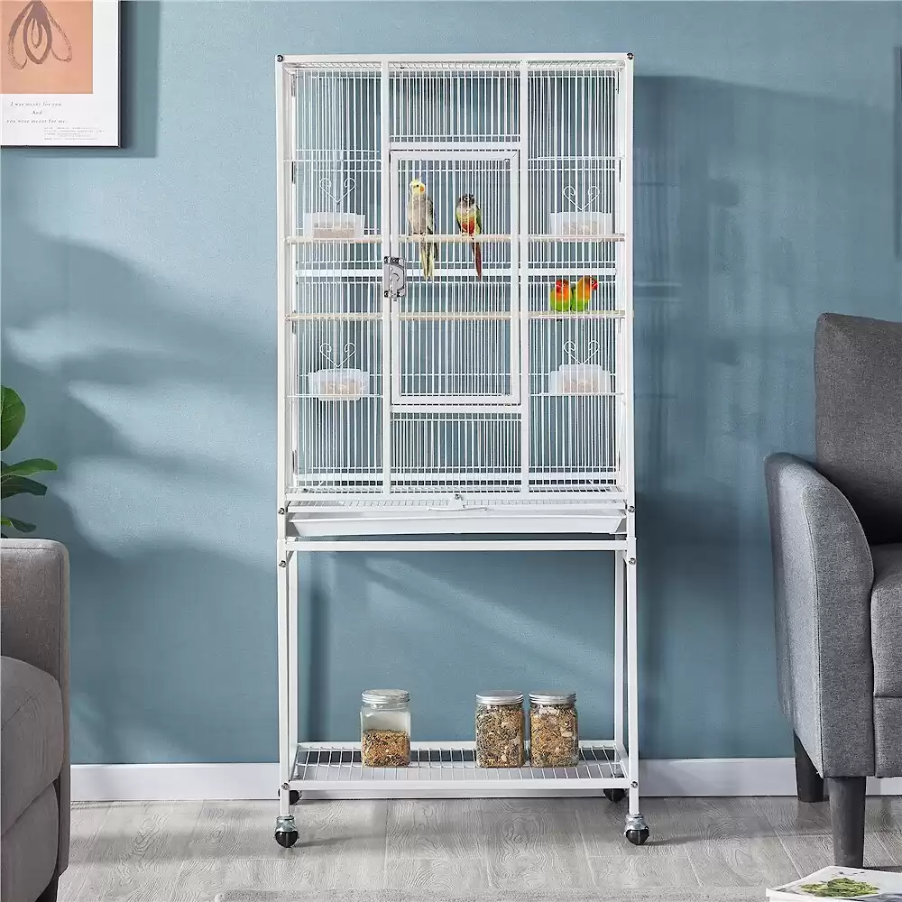 The Best Parakeet Cages for a Happy Pet - A-Z Animals